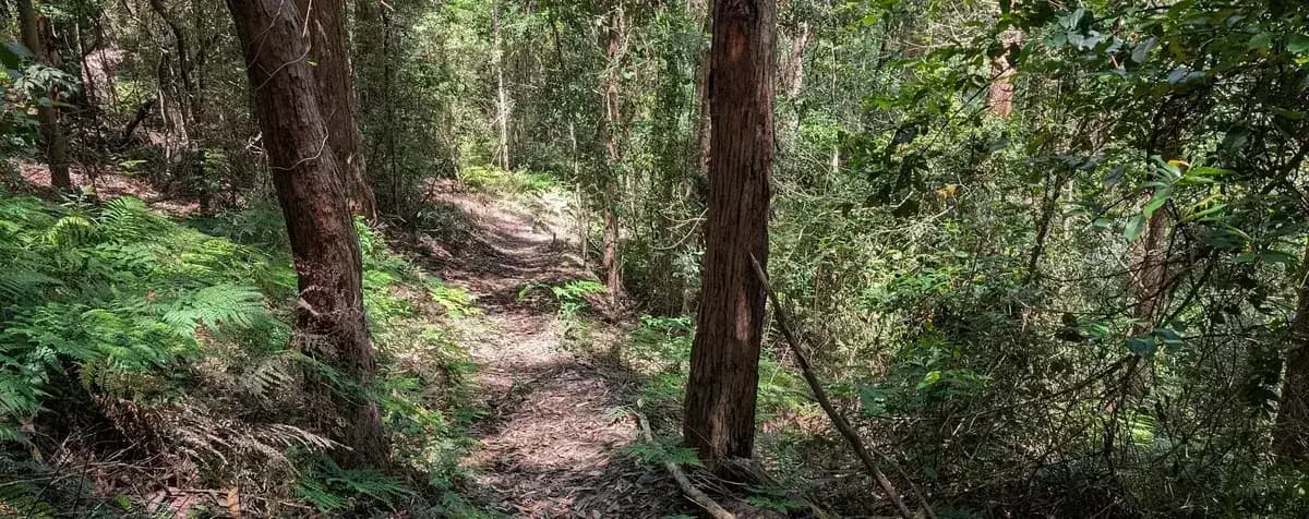 Avoca Lakes Explorer near North Avoca, NSW