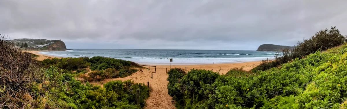 Copacabana Beach Dog Walk near Copacabana, NSW