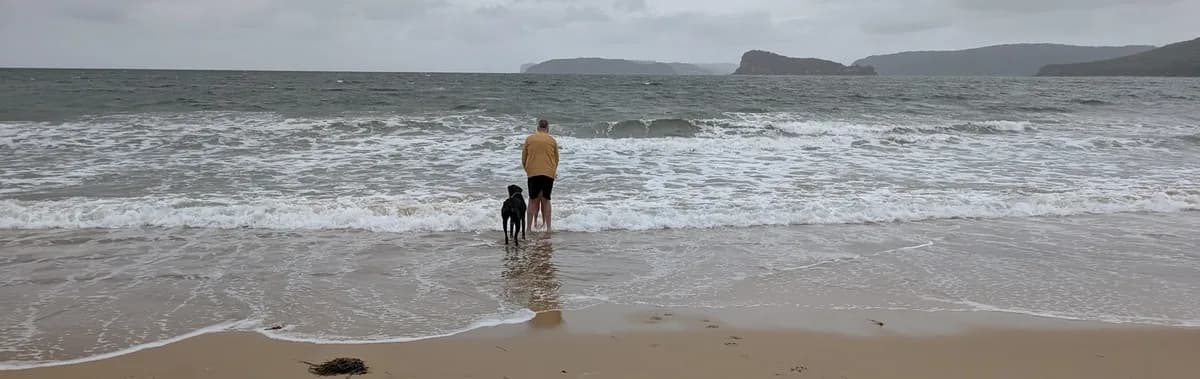 Ettalong Beach Dog Walk near Umina Beach, NSW