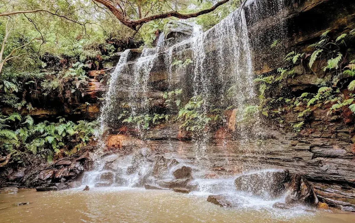 Girrakool Piles Creek Loop near Kariong, NSW