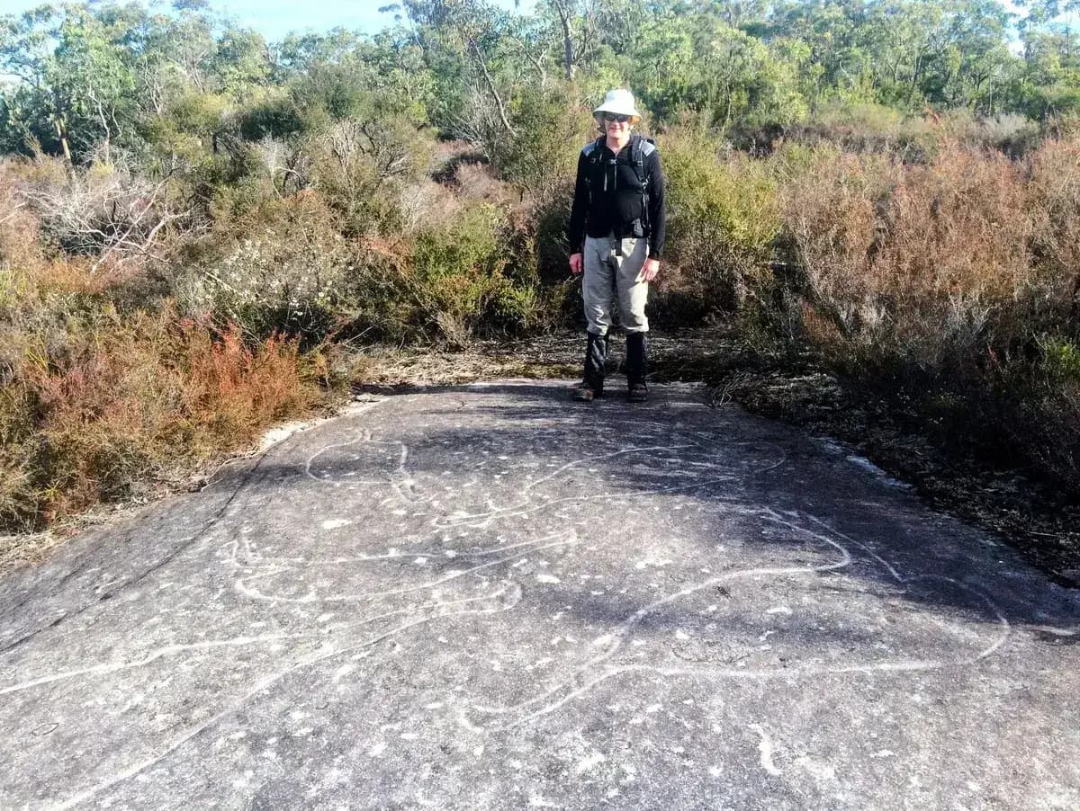 Mill Creek 8.2-11km Return near Laughtondale, NSW