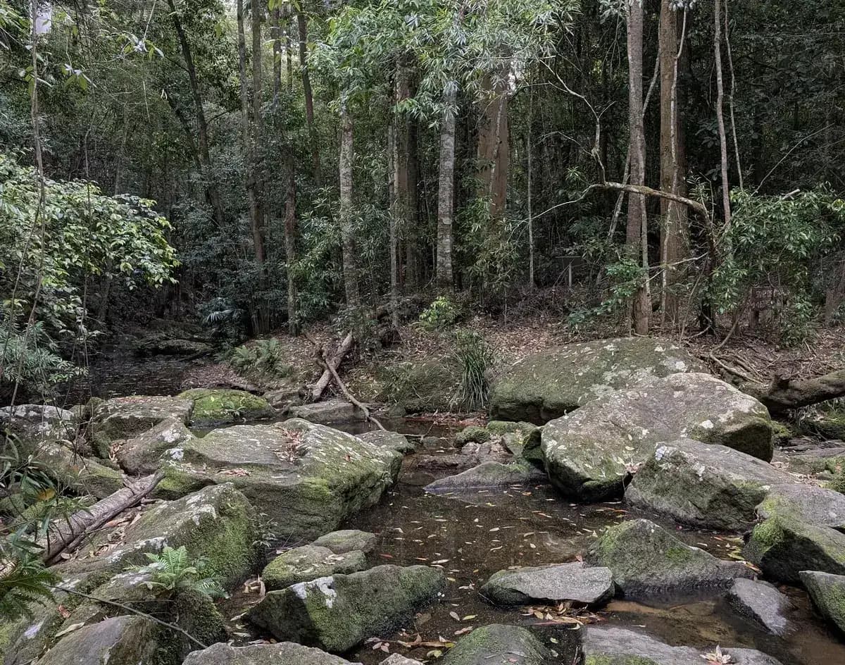 Niagara Park to Strickland near Niagara Park, NSW