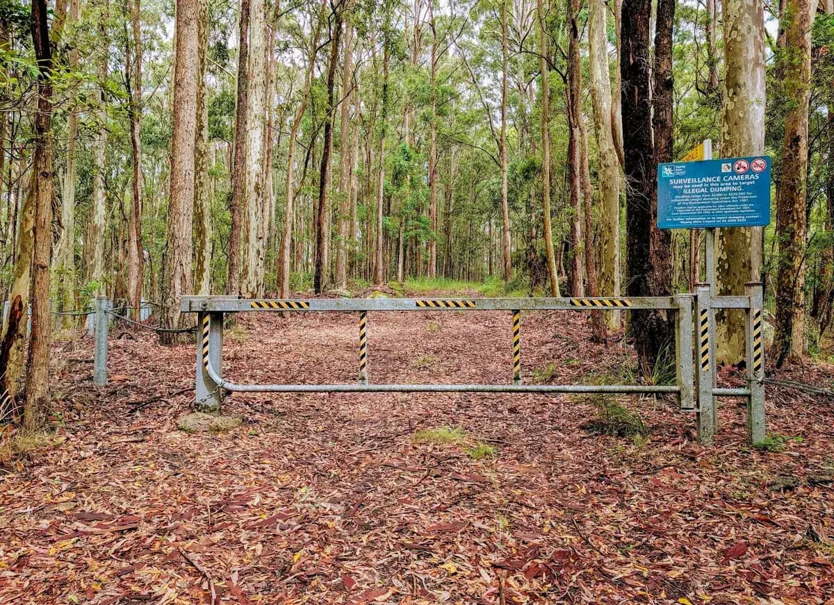 Ourimbah Ridgetop Walk near Fountaindale, NSW
