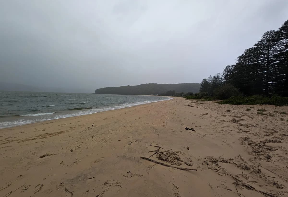 Patonga Beach Dog Walk near Patonga, NSW