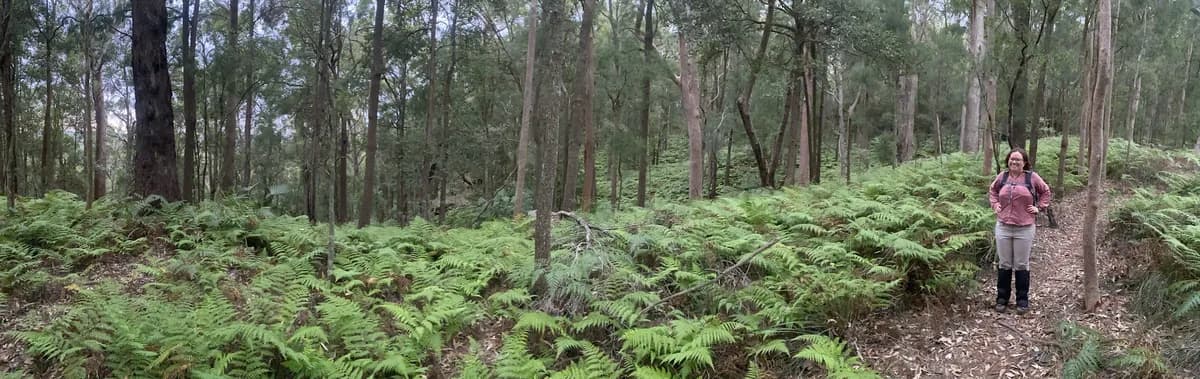 Rumbalara Donnison Street Loop near Gosford, NSW