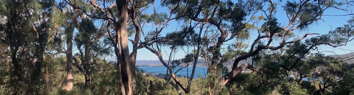Rumbalara Plateau Road Ridgeline Loop near North Gosford, NSW