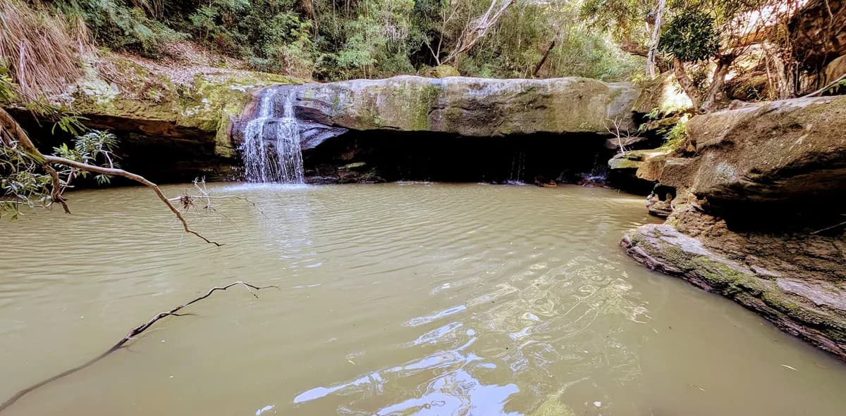 Somersby Falls Lower Swimming Hole 3km return near Calga, NSW