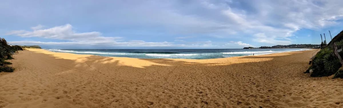 Wamberal Beach Dog Walk near Terrigal, NSW
