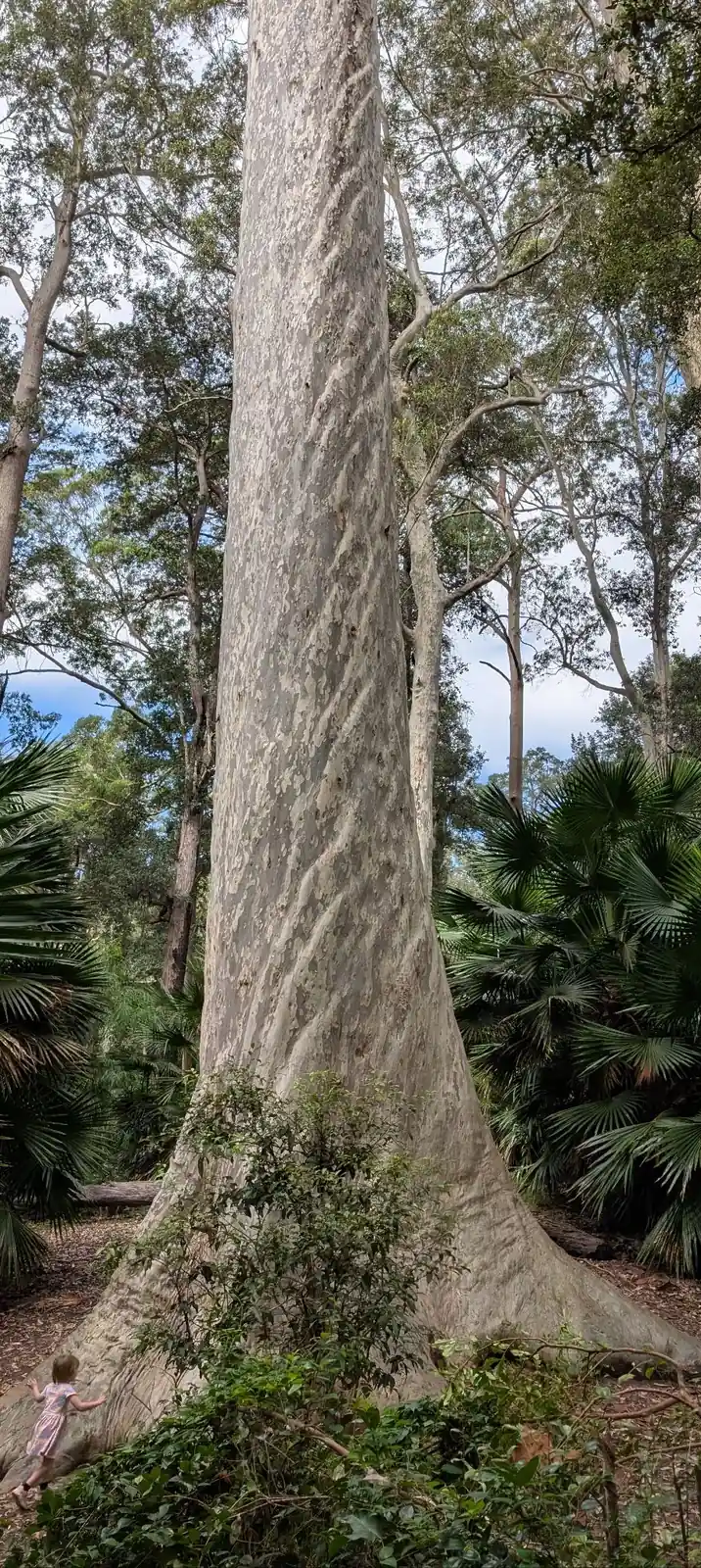 Big Blotchly - photo 1