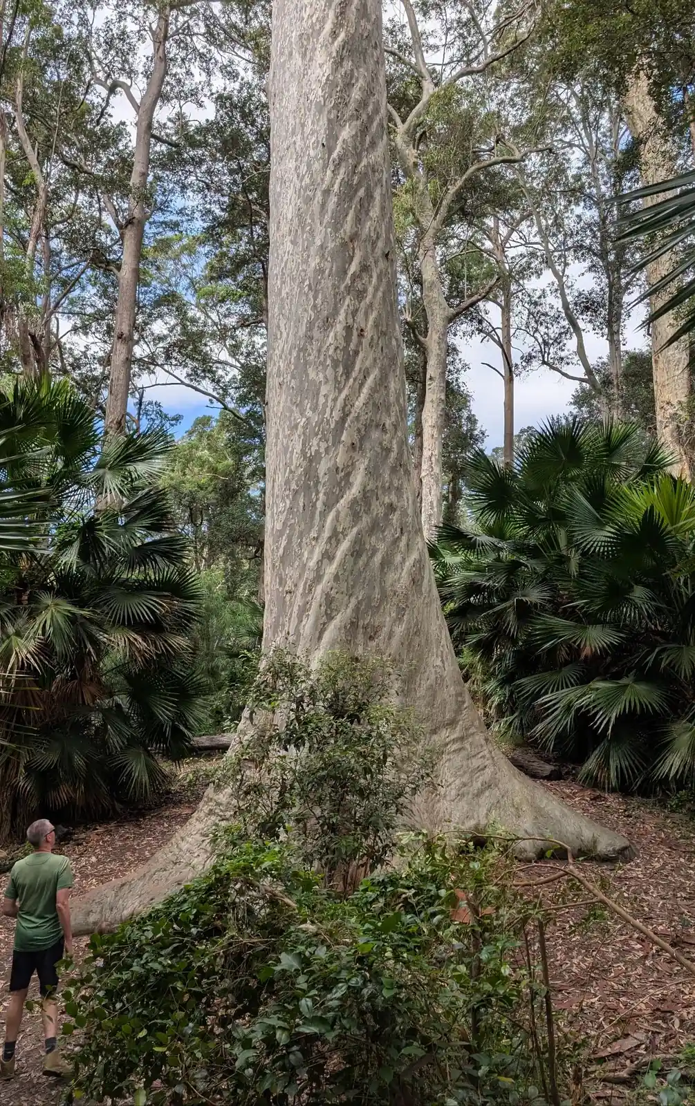 Big Blotchly - photo 3