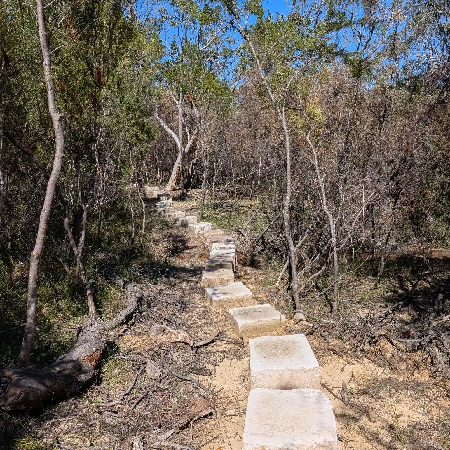 Emerald Pool - photo 10