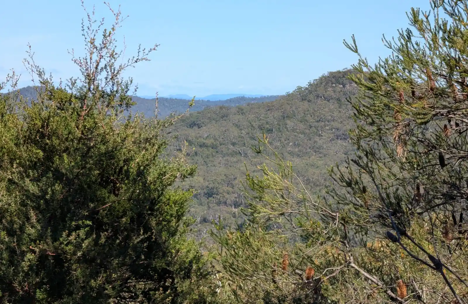 Emerald Pool - photo 7