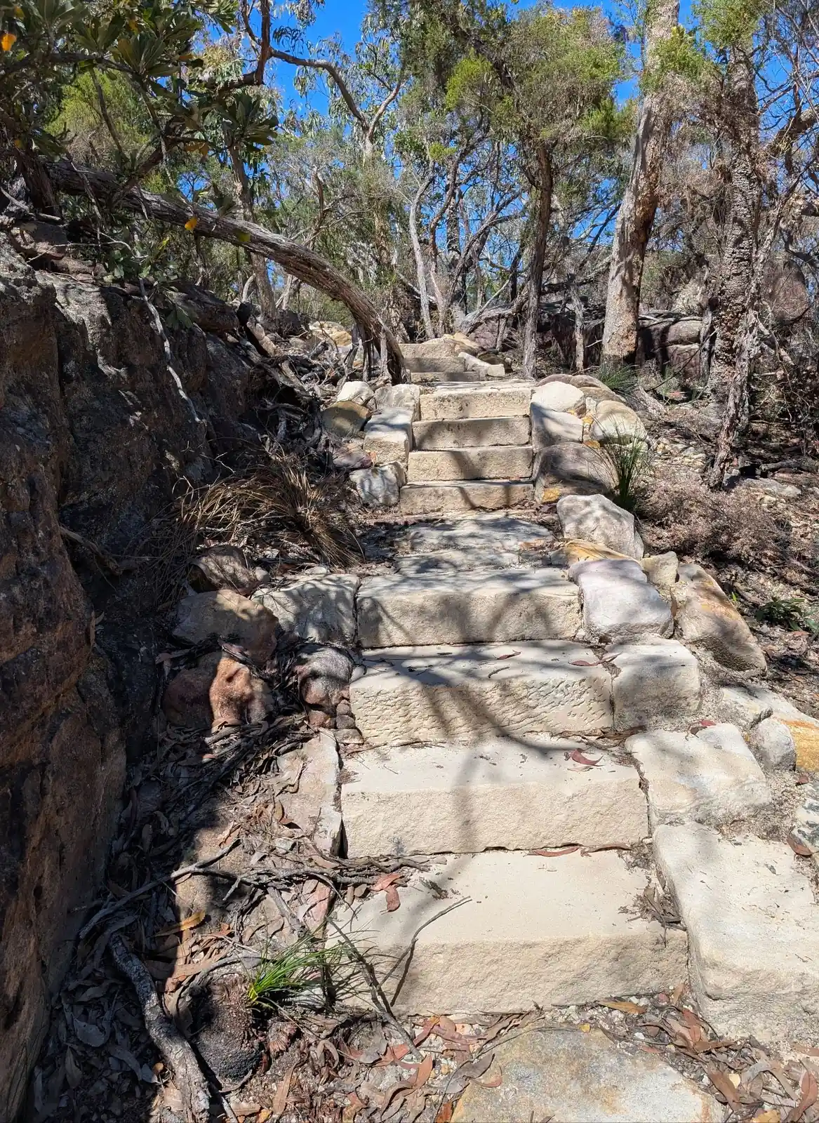 Emerald Pool - photo 8