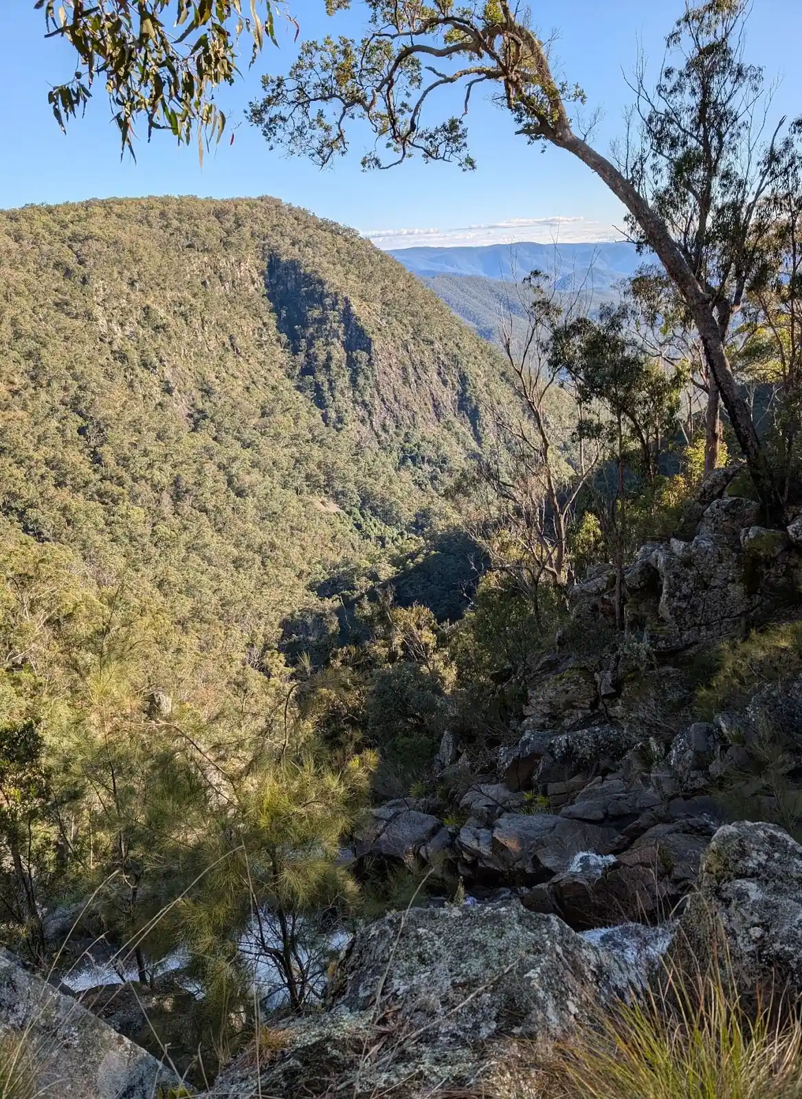 Lucifers Thumb via Escarpment Track and Jordan's Track Loop - photo 9