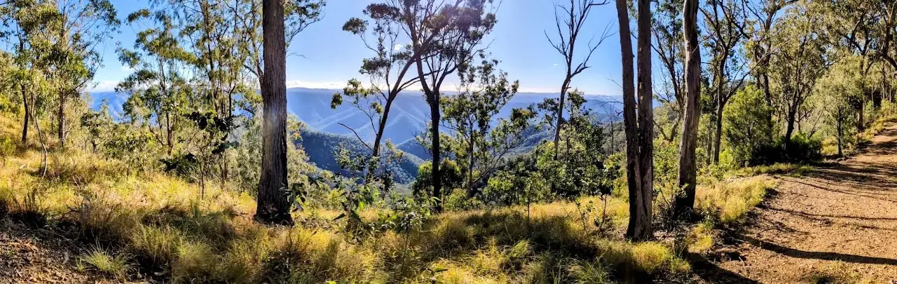Lucifers Thumb via Escarpment Track and Jordan's Track Loop - photo 11