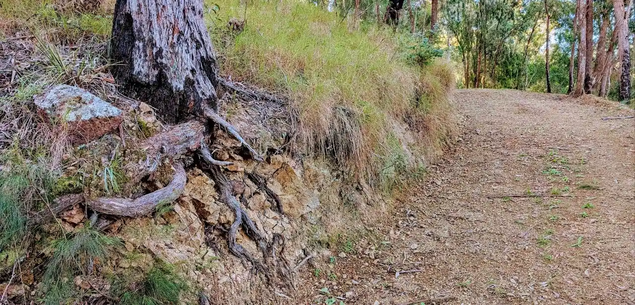 Lucifers Thumb via Escarpment Track and Jordan's Track Loop - photo 12