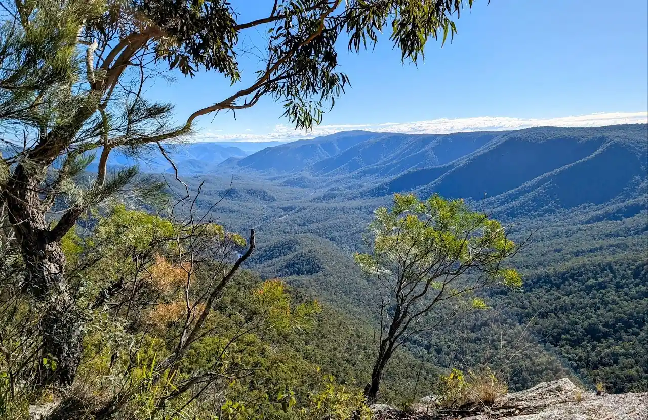 Lucifers Thumb via Escarpment Track and Jordan's Track Loop - photo 5