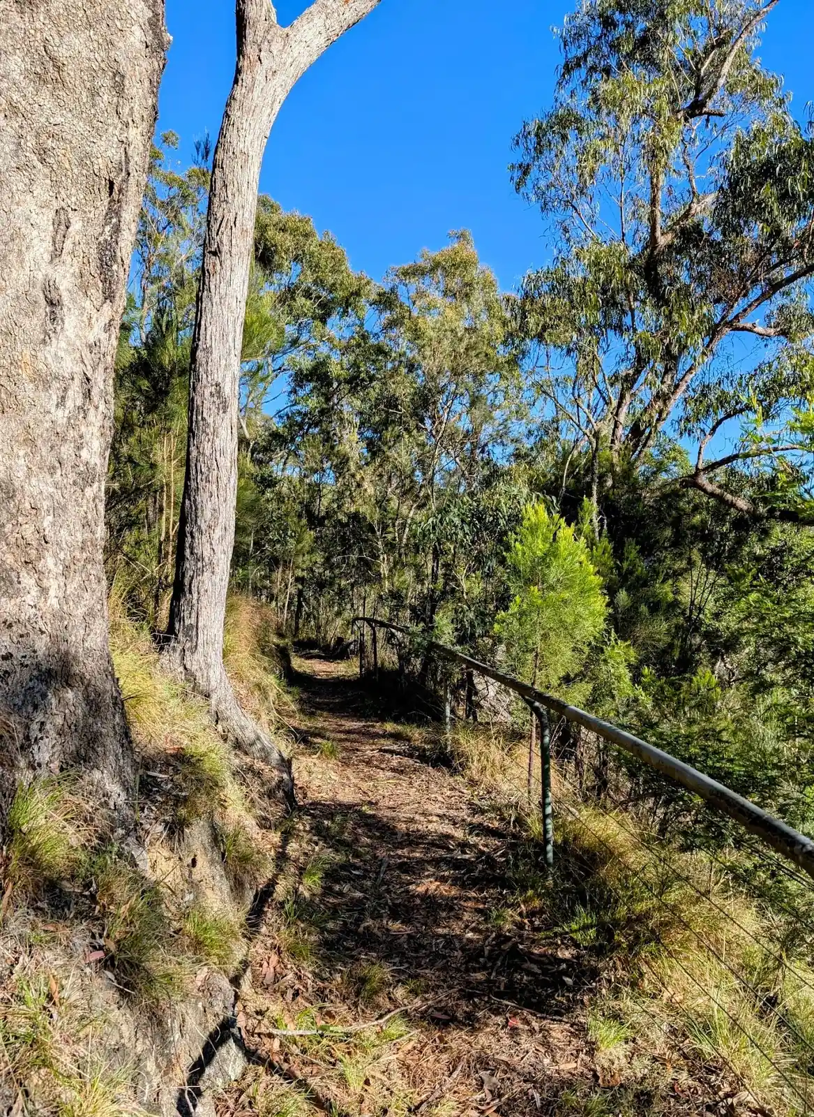 Lucifers Thumb via Escarpment Track and Jordan's Track Loop - photo 6