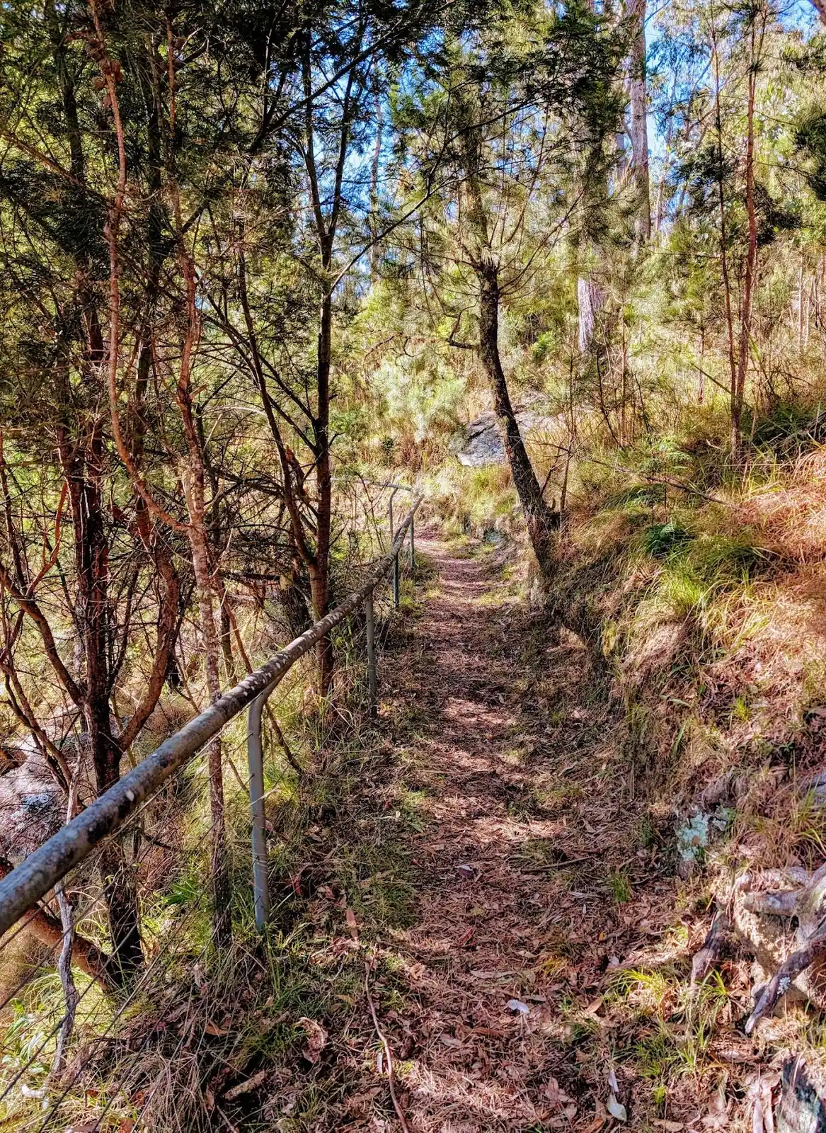 Lucifers Thumb via Escarpment Track and Jordan's Track Loop - photo 7