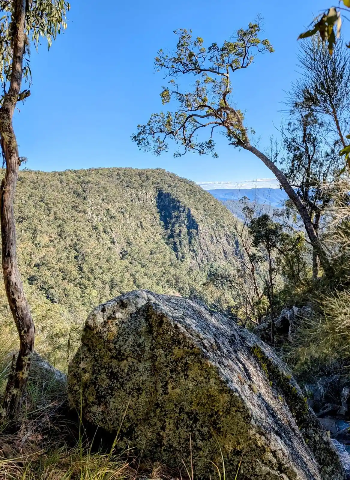 Lucifers Thumb via Escarpment Track and Jordan's Track Loop - photo 8