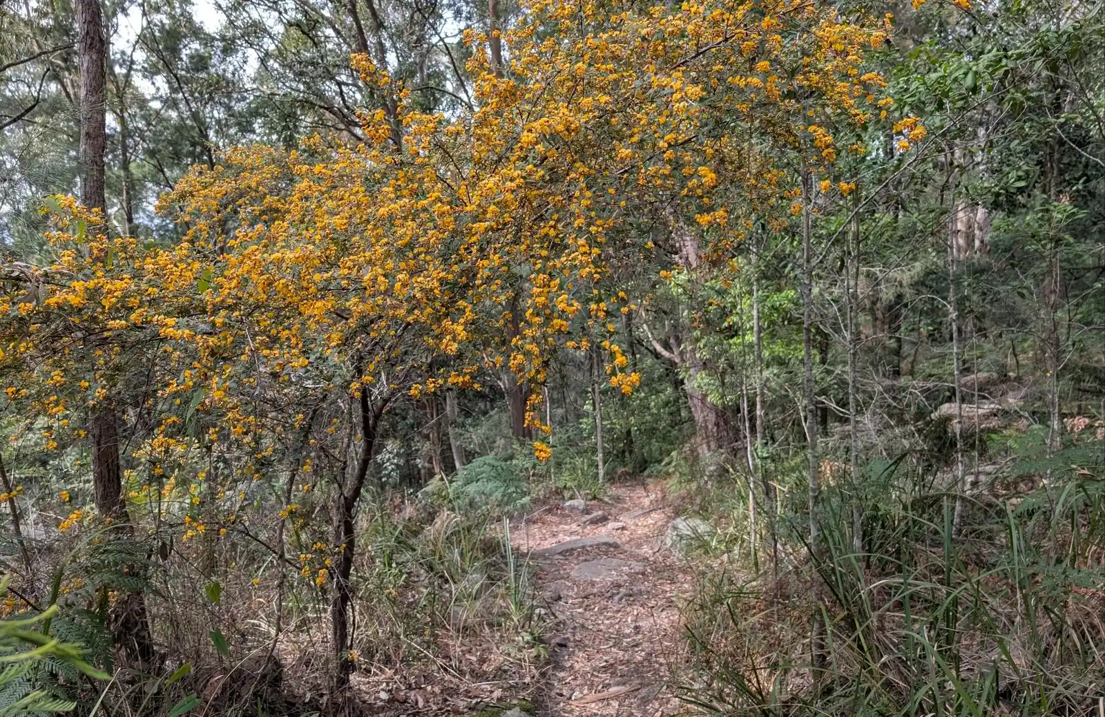Muogamara Reserve - photo 11