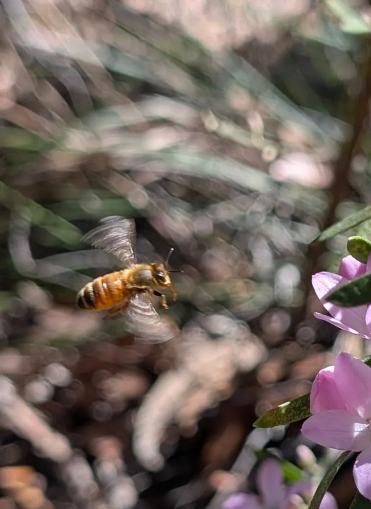 Muogamara Reserve - photo 16