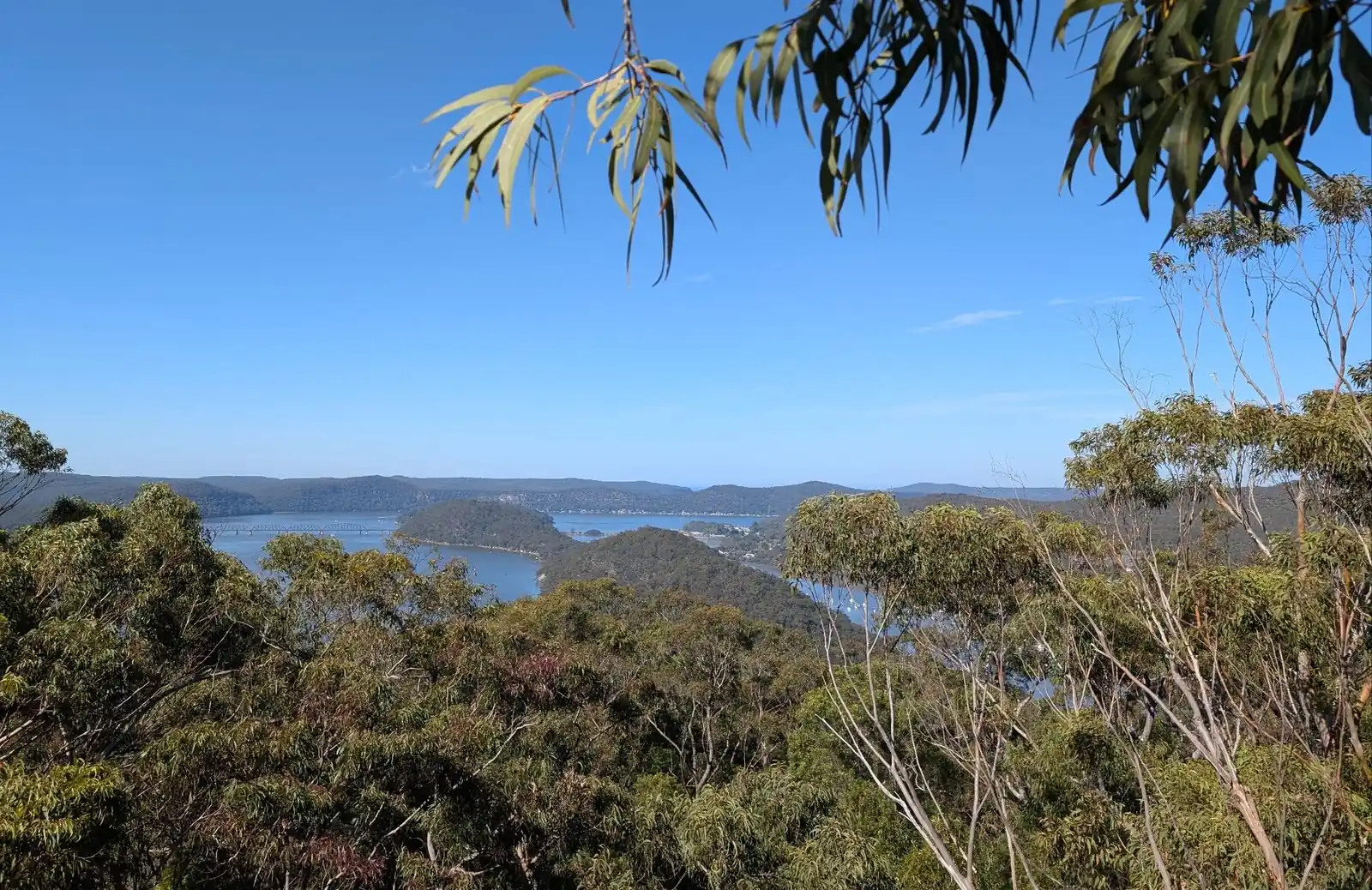 Muogamara Reserve - photo 21