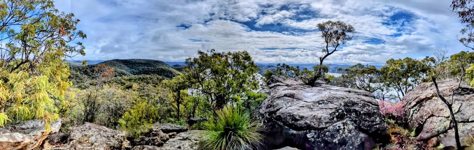 View from Lloyd Trig