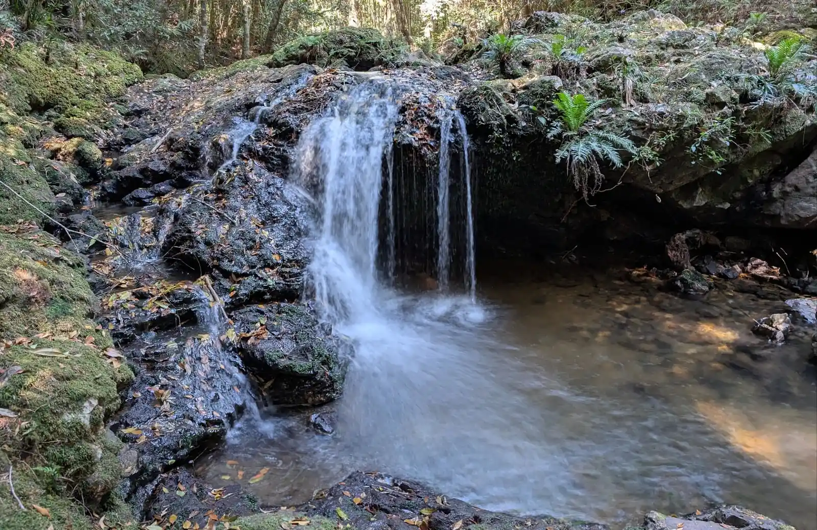 Beautiful little swimming hole and waterfall near the campsite