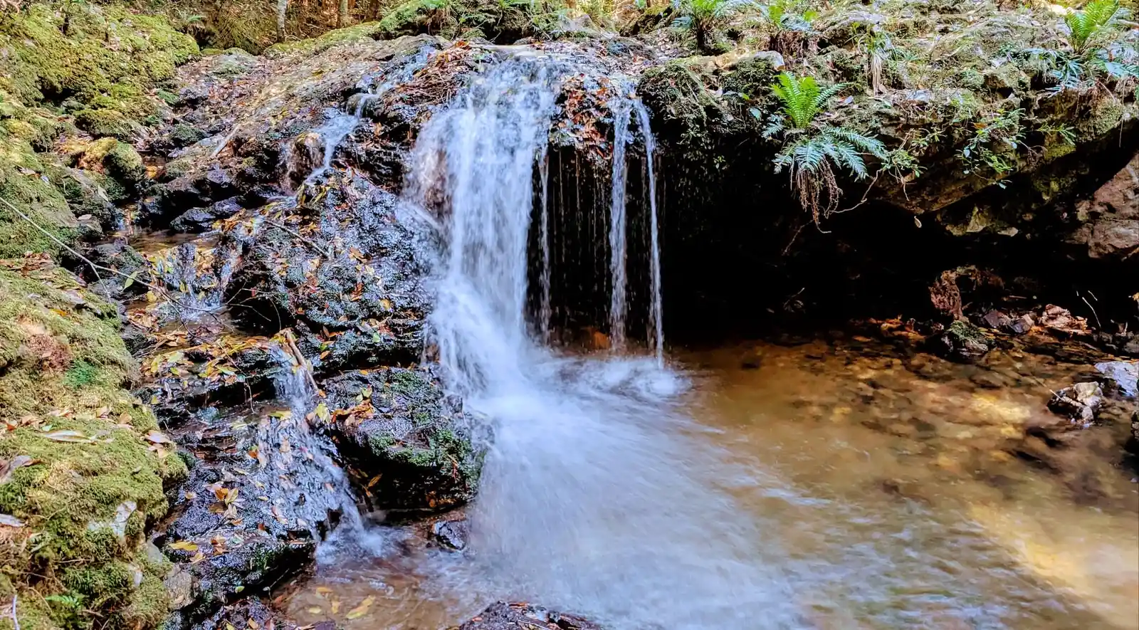 Beautiful little swimming hole and waterfall near the campsite