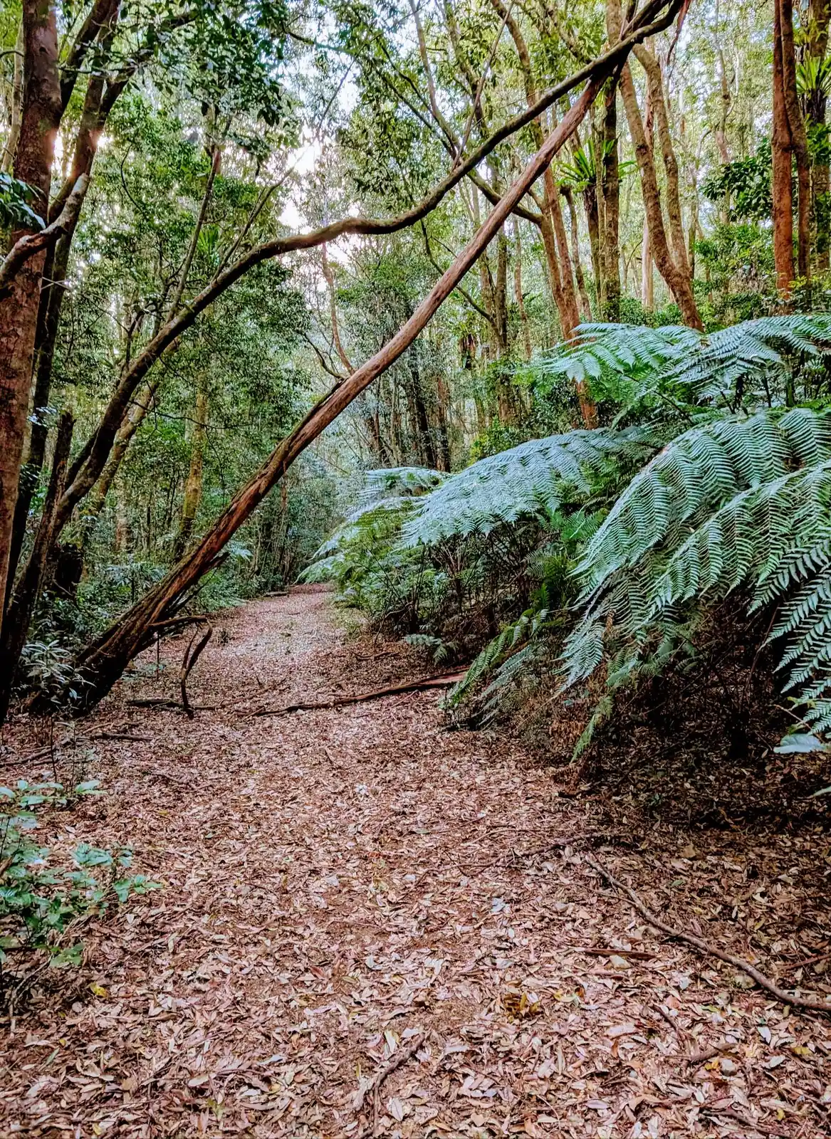 Slingsbys Trail - photo 11