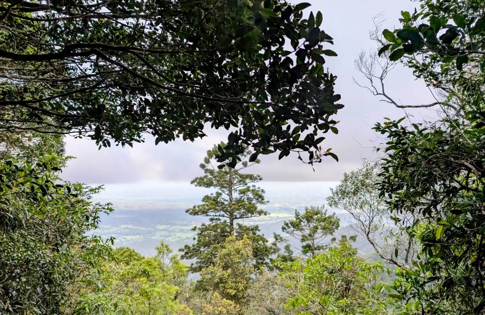 slingsbys trail lookout