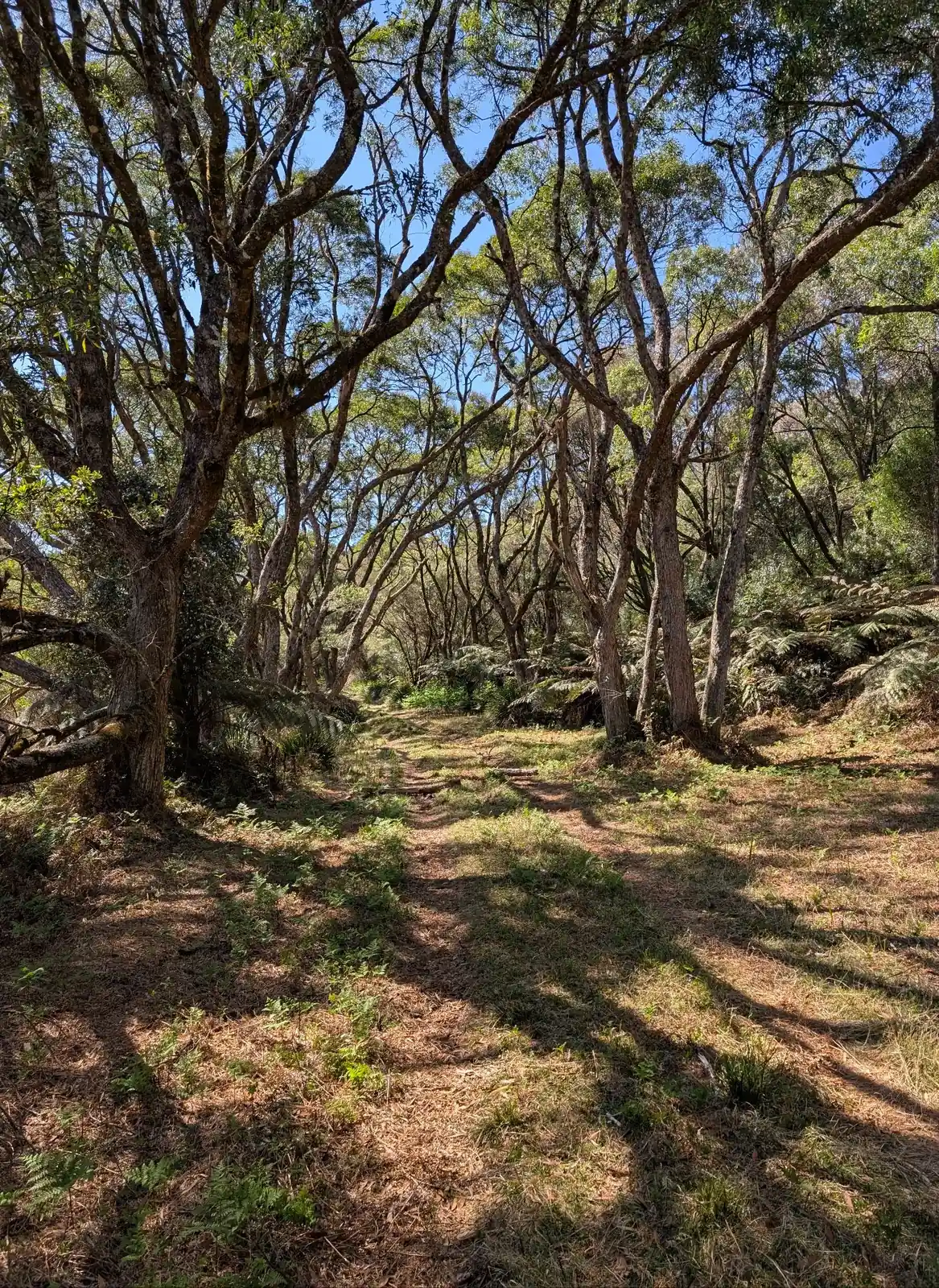 Slingsbys Trail - photo 14