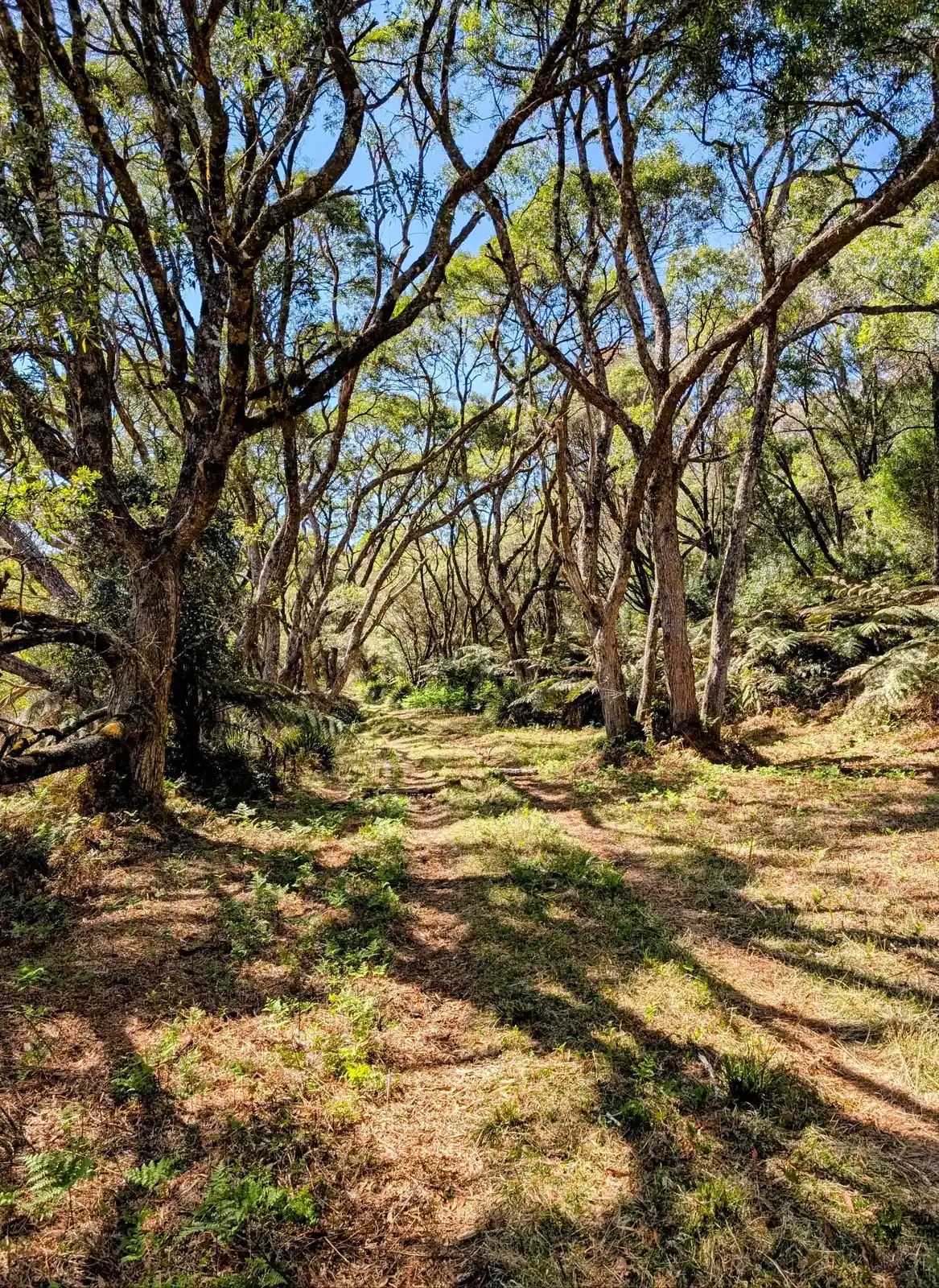 Slingsbys Trail - photo 15