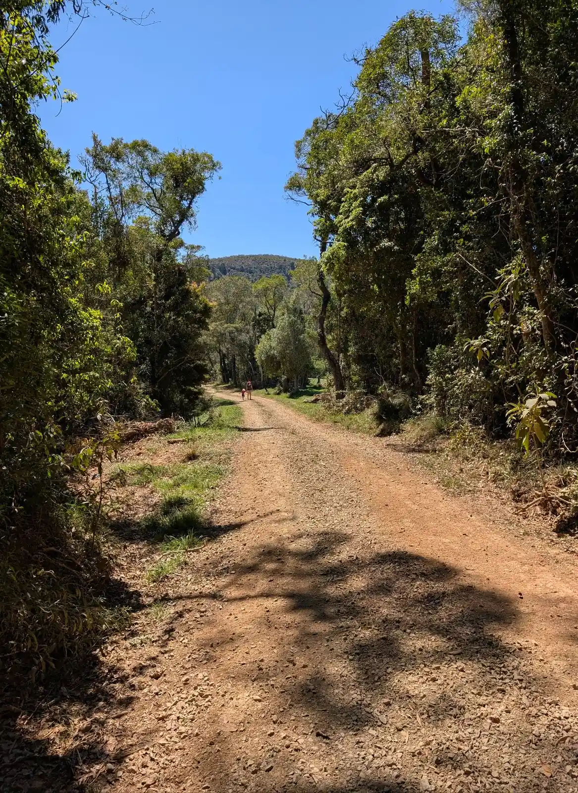 Slingsbys Trail - photo 16