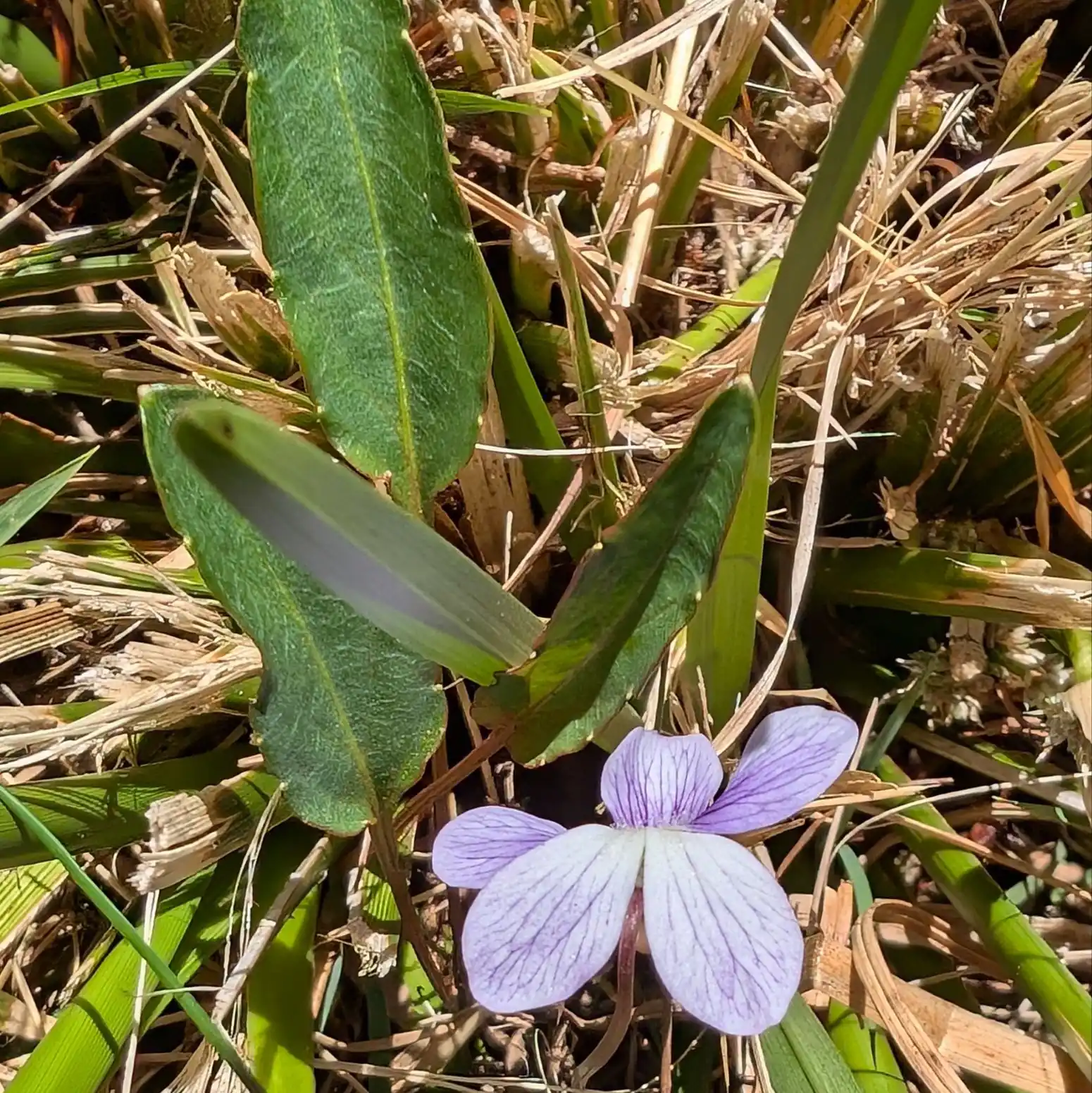 Slingsbys Trail - photo 19