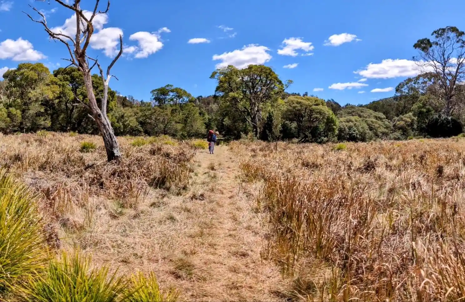 Slingsbys Trail - photo 5