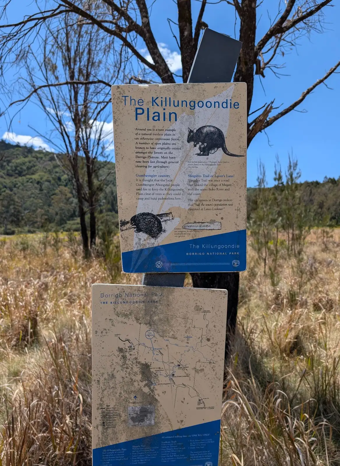 Slingsbys Trail - photo 6