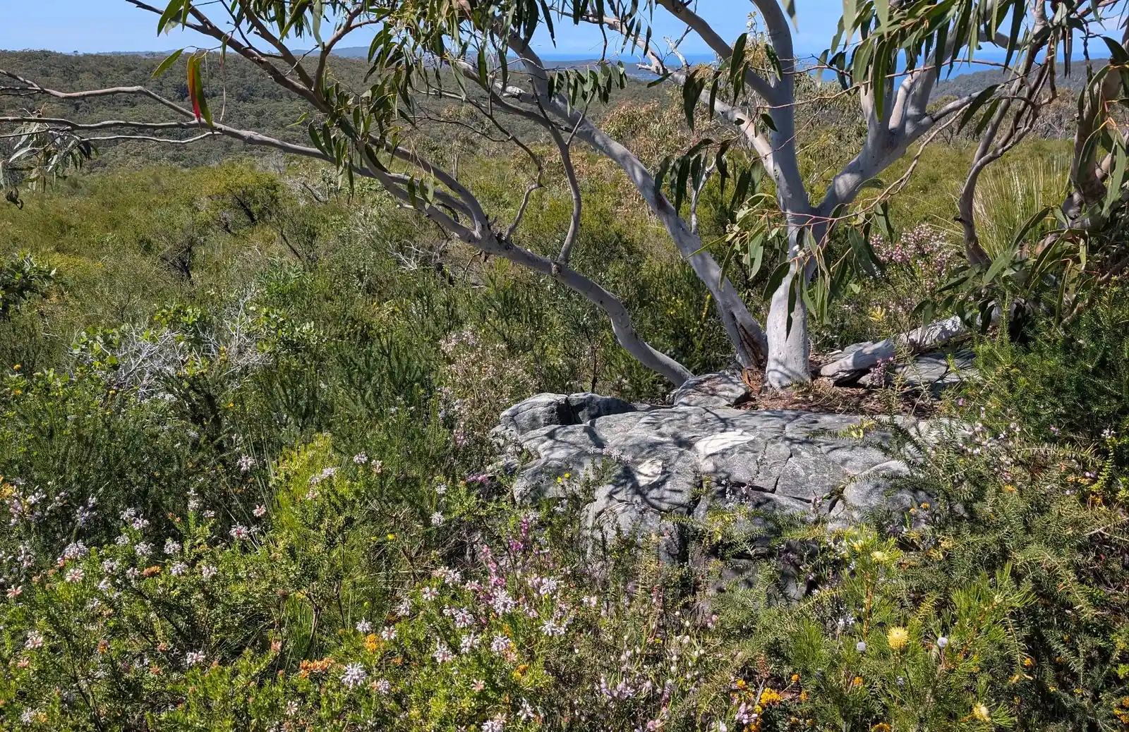 Warra Trig - photo 11
