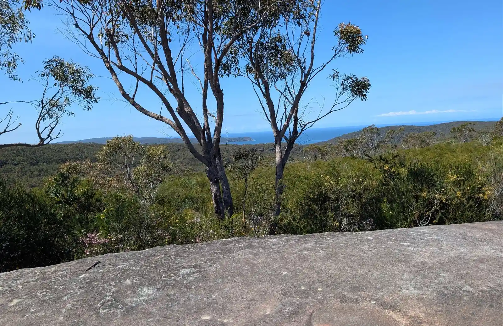 Warra Trig - photo 2
