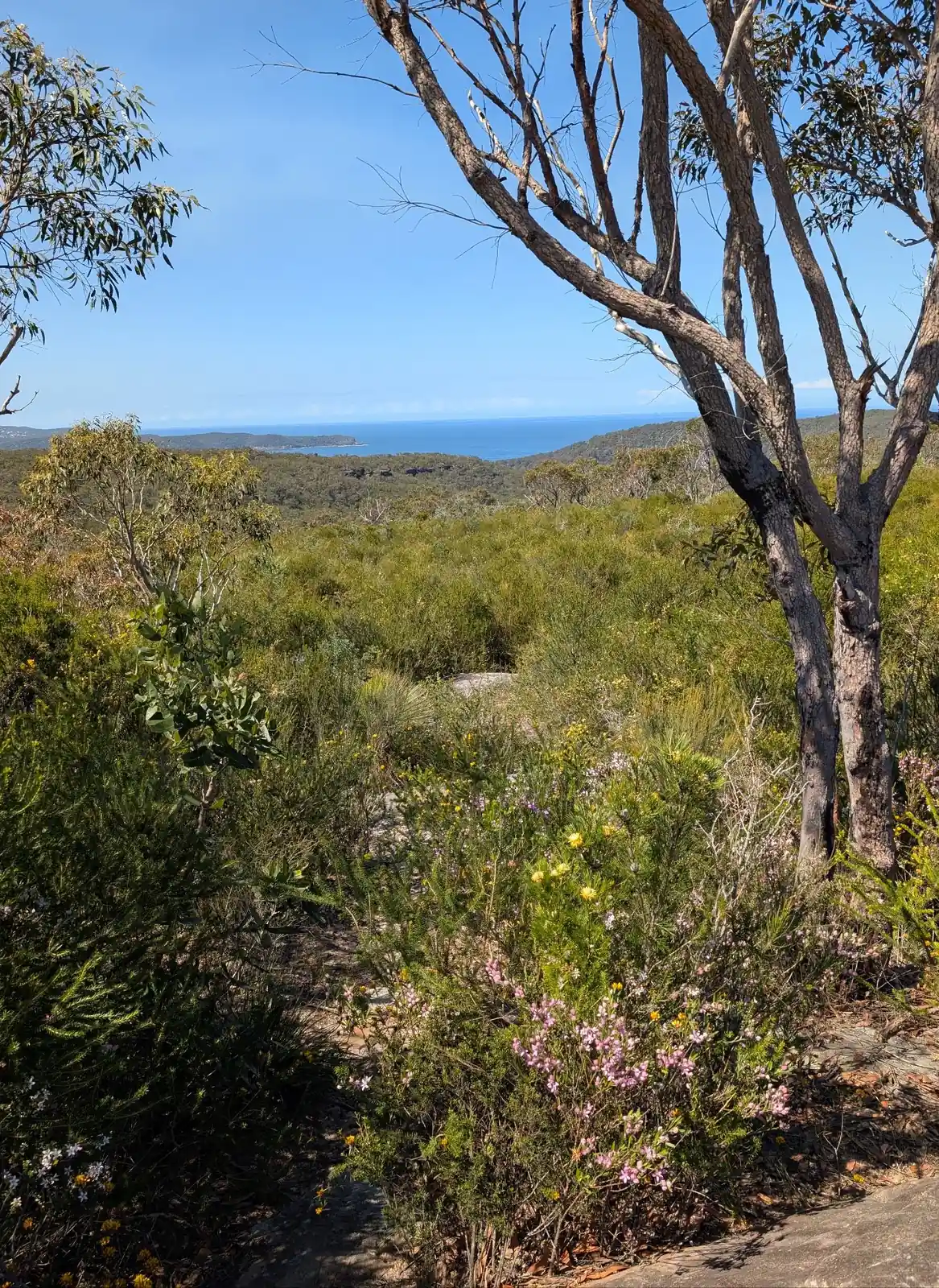 Warra Trig - photo 4