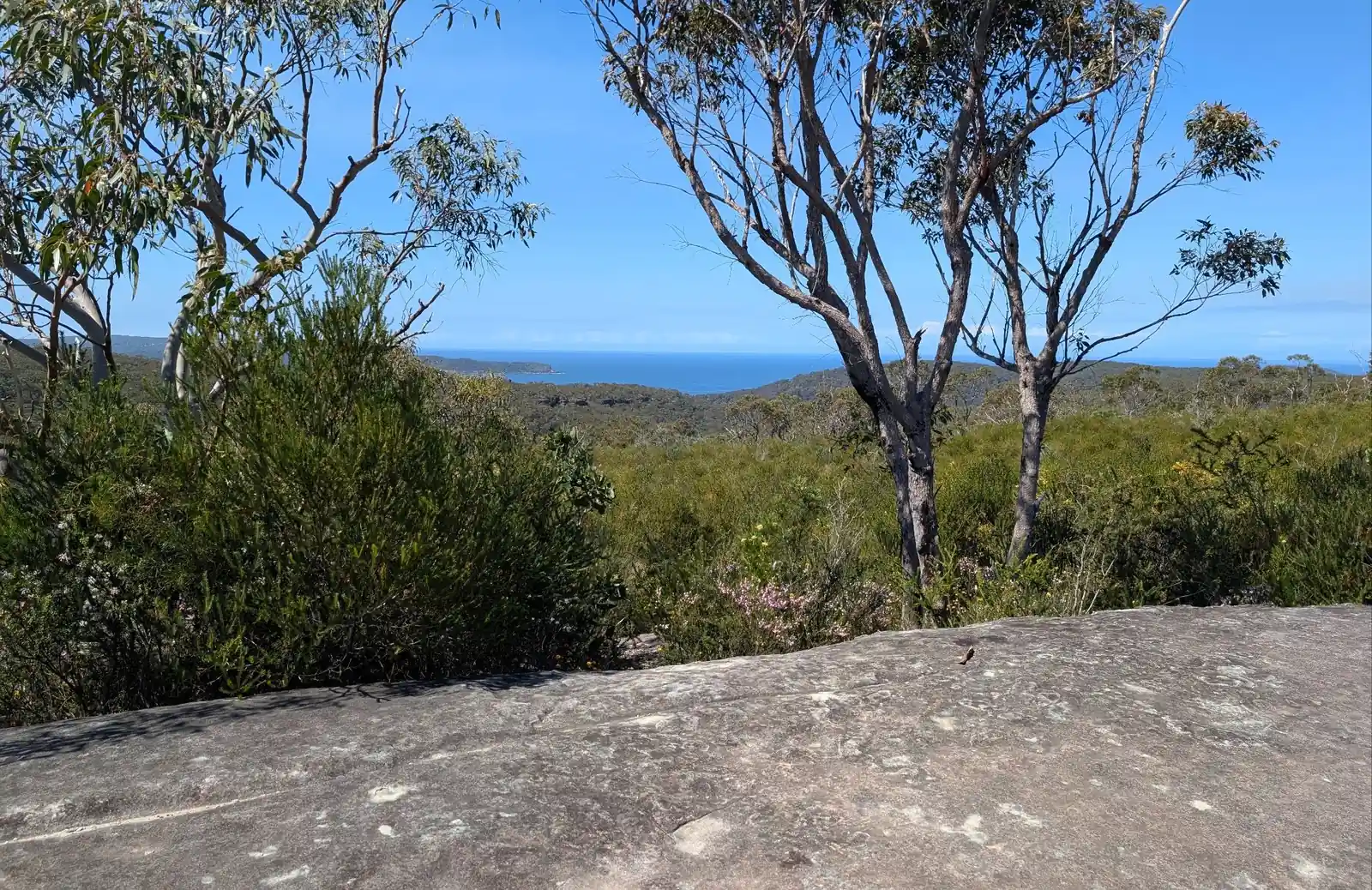 Warra Trig - photo 6